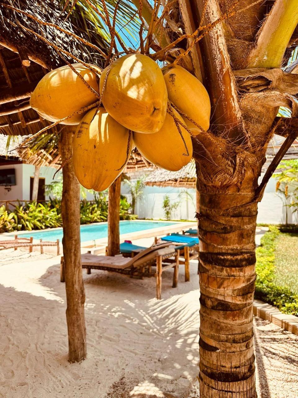 Lala Salama Kendwa Villas Exterior photo