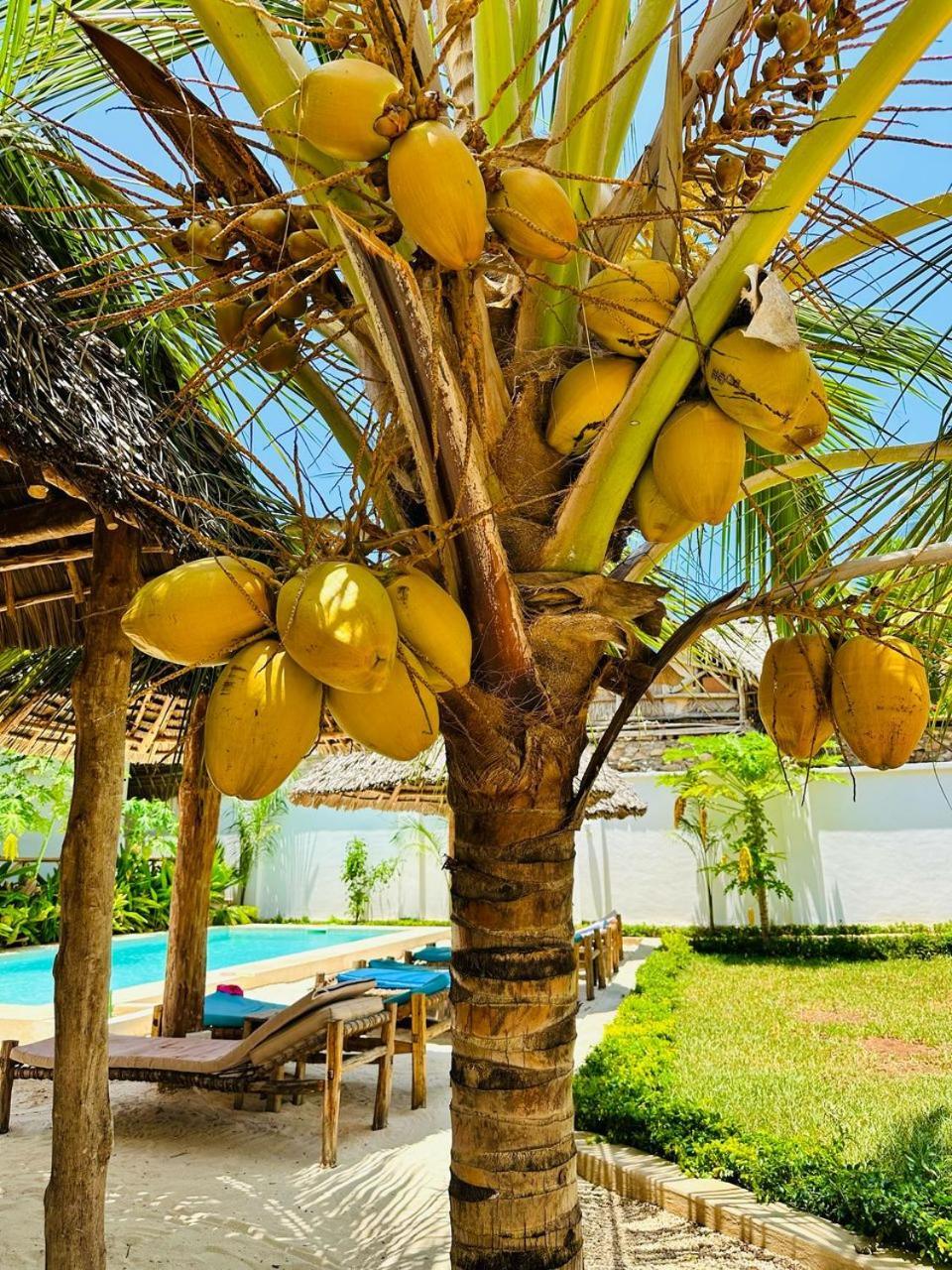 Lala Salama Kendwa Villas Exterior photo